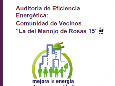 Auditoría de Eficiencia Energética: Comunidad de Vecinos “La del Manojo de Rosas 15”